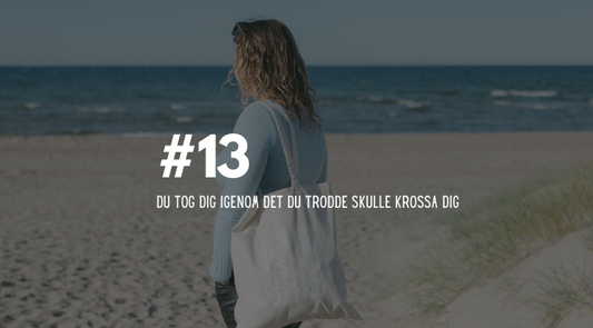 #13 Du tog dig igenom det du trodde skulle krossa dig
