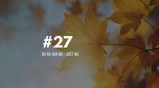 #27 Du är här nu - just nu