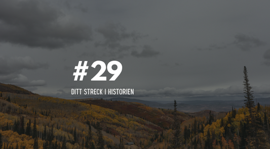 #29 Ditt streck i historien