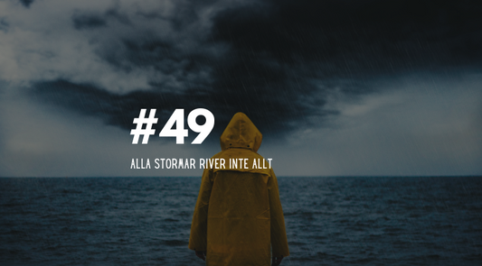 #49 Alla stormar river inte allt