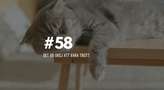 #58 Det är okej att vara trött